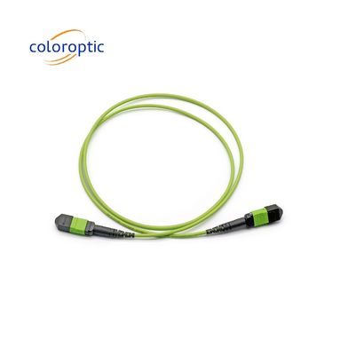Tek Mod MTP Patch Cord MTP Bağlantısı G652D / G657A1 / G657A2 Fiber