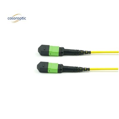 Pasif Optik Tek Mod Patch Cord MPO-12 / APC-To-MPO12 / APC