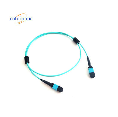 MTP (MPO) 12 FIBRE PATCH CABLE OM3 (50/125) M400 Serisi US Conec