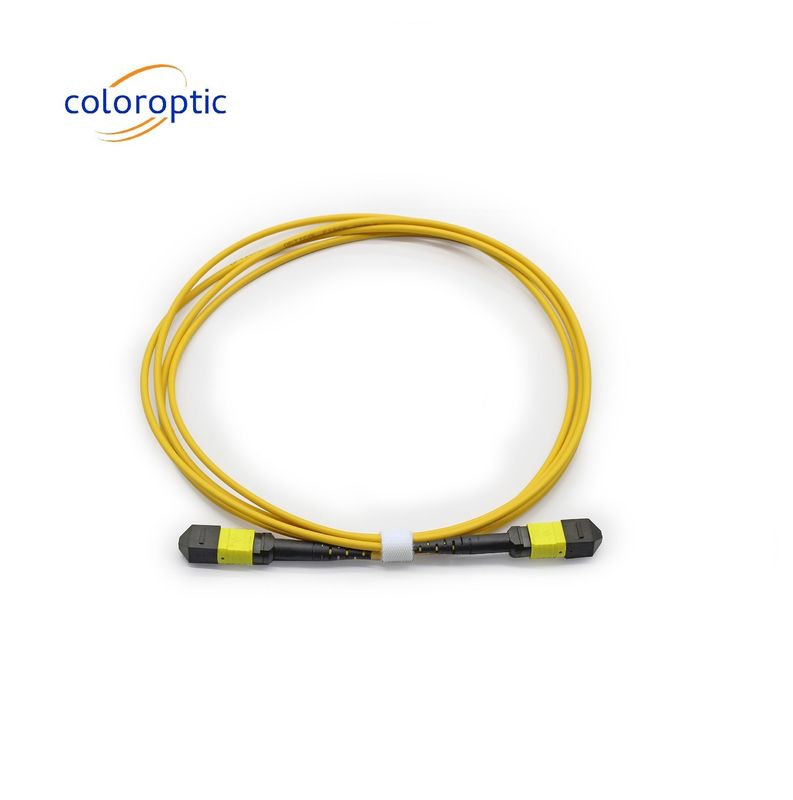 MTP APC Kadın Kadın Optik Kablo 10/40G SM 3M PVC / LSZH Kök Kablo