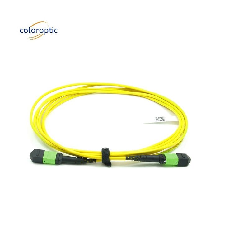 Pasif Optik Tek Mod Patch Cord MPO-12 / APC-To-MPO12 / APC
