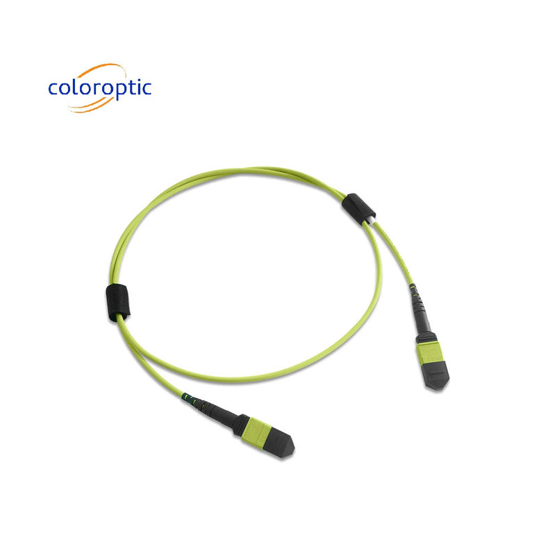 Multi fiber MPO Patch Cord PVC Ceket 12 Core OM5 Kadın Kadın Bağlantısı PC Poliş