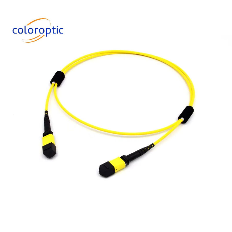 SR8 400G QSFP-DD ve OSFP 400G SR8 PAM4 için Multi Mode fiber MTP 16 FIBRE OM5 (50/125) PATCH CABLE